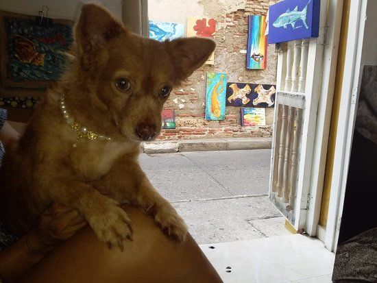Arte Getsemani