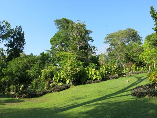 Jardín Botánico de Cartagena Guillermo Piñeres